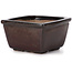 Square brown bonsai pot by Seto - 80 x 80 x 45 mm