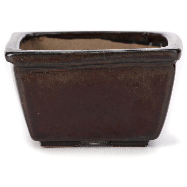 Maceta de bonsái cuadrada marrón de Seto - 80 x 80 x 45 mm