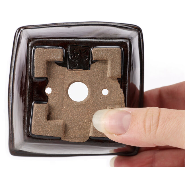 Maceta de bonsái cuadrada marrón de Seto - 80 x 80 x 45 mm