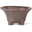 Square unglazed bonsai pot by Seto - 90 x 90 x 50 mm