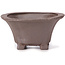 Square unglazed bonsai pot by Seto - 90 x 90 x 50 mm