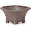 Square unglazed bonsai pot by Seto - 90 x 90 x 50 mm