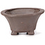 Square unglazed bonsai pot by Seto - 90 x 90 x 50 mm