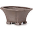 Square unglazed bonsai pot by Seto - 90 x 90 x 50 mm