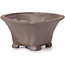 Square unglazed bonsai pot by Seto - 90 x 90 x 45 mm