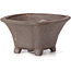 Square unglazed bonsai pot by Seto - 85 x 85 x 45 mm