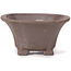 Pot à bonsaï carré non émaillé par Seto - 90 x 90 x 45 mm