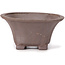 Square unglazed bonsai pot by Seto - 90 x 90 x 45 mm