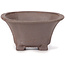 Square unglazed bonsai pot by Seto - 90 x 90 x 45 mm