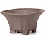 Pot à bonsaï carré non émaillé par Seto - 90 x 90 x 45 mm