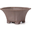 Pot à bonsaï carré non émaillé par Seto - 90 x 90 x 45 mm