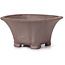 Square unglazed bonsai pot by Seto - 90 x 90 x 45 mm