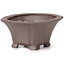 Pot à bonsaï carré non émaillé par Seto - 95 x 90 x 45 mm