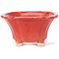 Pot à bonsaï carré rouge par Seto - 90 x 90 x 45 mm