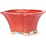 Square red bonsai pot by Seto - 90 x 90 x 45 mm