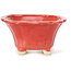 Pot à bonsaï carré rouge par Seto - 90 x 90 x 45 mm