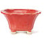 Square red bonsai pot by Seto - 90 x 90 x 45 mm