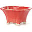 Square red bonsai pot by Seto - 90 x 90 x 45 mm