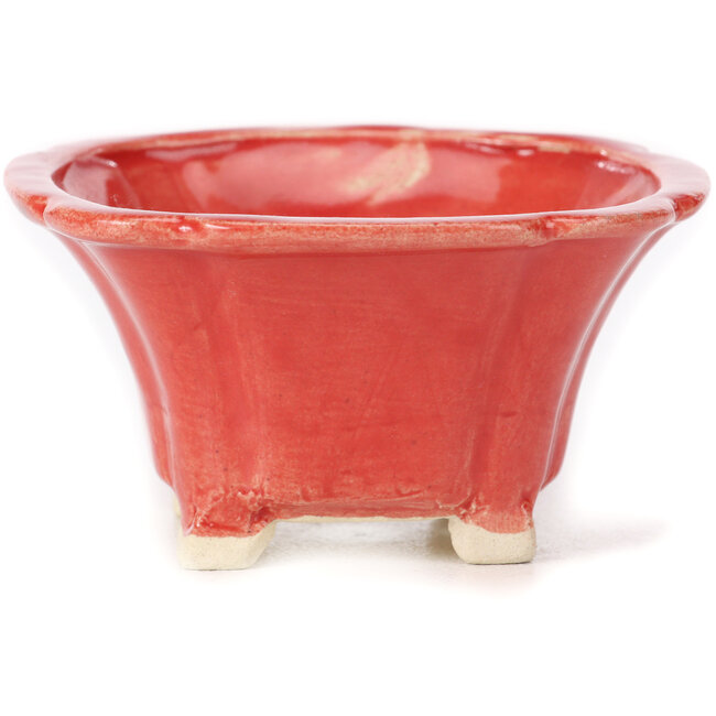 Vaso bonsai quadrato rosso di Seto - 90 x 90 x 45 mm