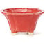 Square red bonsai pot by Seto - 90 x 90 x 45 mm