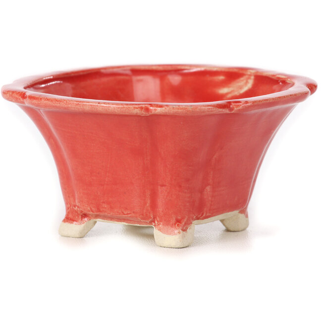 Pot à bonsaï carré rouge par Seto - 90 x 90 x 45 mm