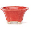 Square red bonsai pot by Seto - 90 x 90 x 45 mm