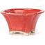 Square red bonsai pot by Seto - 90 x 90 x 45 mm