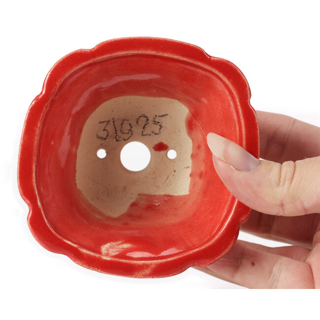 Maceta de bonsái cuadrada roja de Seto - 90 x 90 x 45 mm