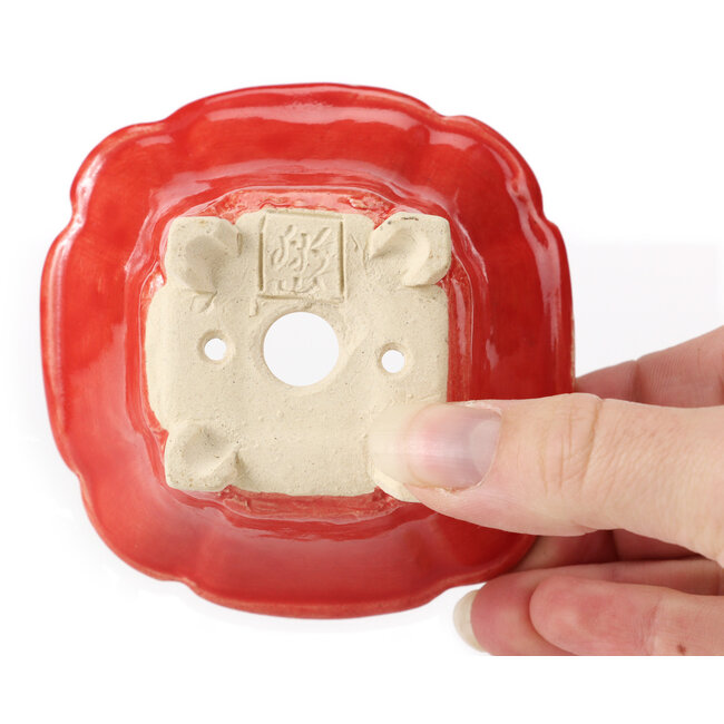 Quadratische rote Bonsaischale von Seto - 90 x 90 x 45 mm