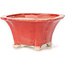 Square red bonsai pot by Seto - 90 x 90 x 45 mm