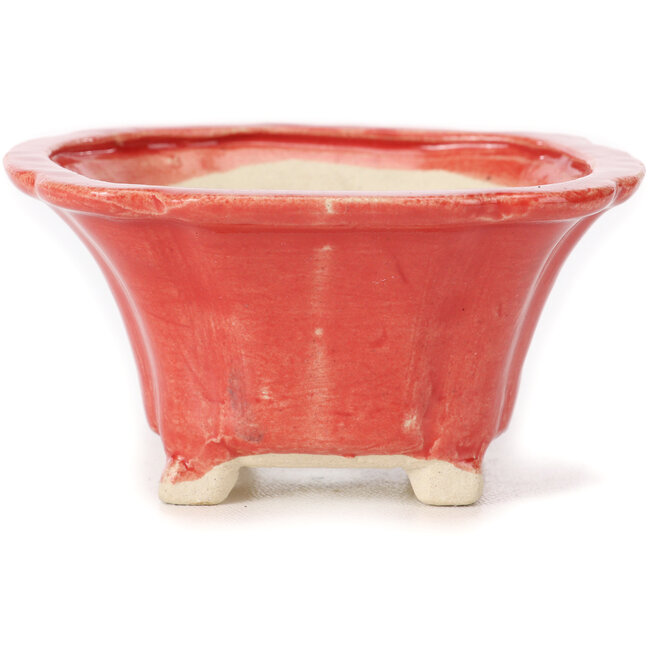 Vaso bonsai quadrato rosso di Seto - 90 x 90 x 45 mm