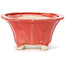 Square red bonsai pot by Seto - 90 x 90 x 45 mm