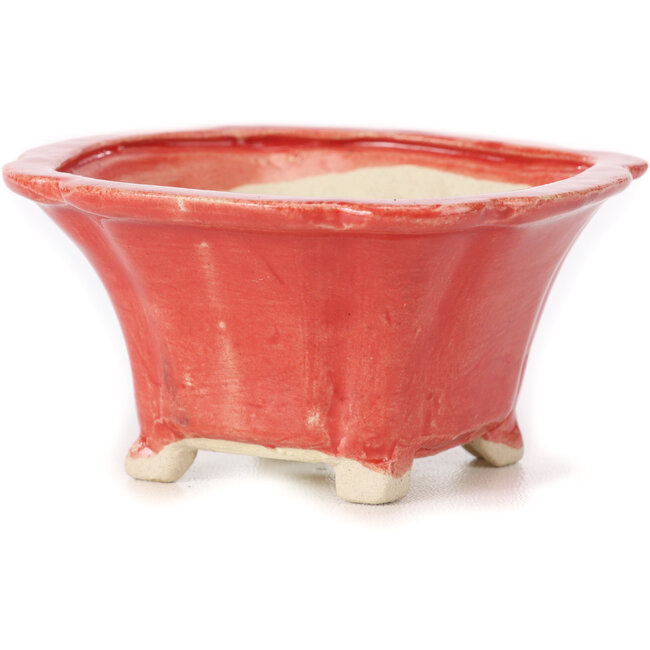 Vaso bonsai quadrato rosso di Seto - 90 x 90 x 45 mm