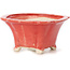 Square red bonsai pot by Seto - 90 x 90 x 45 mm