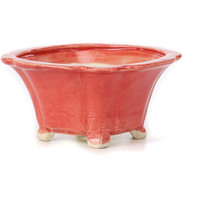 Square red bonsai pot by Seto - 90 x 90 x 45 mm