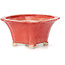 Square red bonsai pot by Seto - 90 x 90 x 45 mm