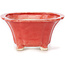 Square red bonsai pot by Seto - 90 x 90 x 45 mm