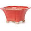 Square red bonsai pot by Seto - 90 x 90 x 45 mm