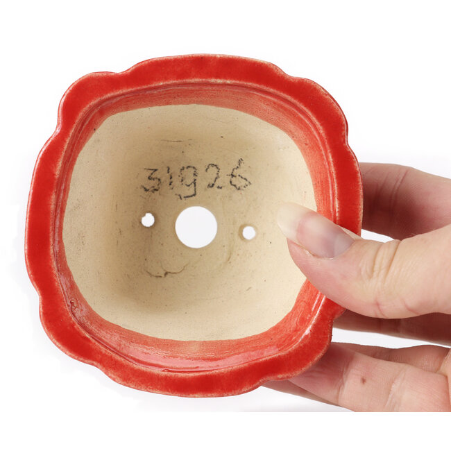 Square red bonsai pot by Seto - 90 x 90 x 45 mm