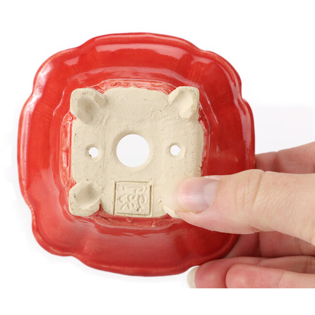 Pot à bonsaï carré rouge par Seto - 90 x 90 x 45 mm