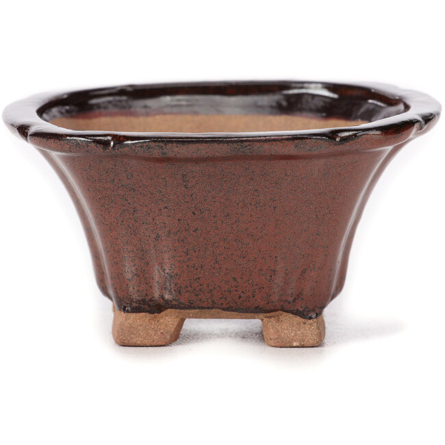 Vaso bonsai quadrato marrone di Seto - 90 x 90 x 45 mm
