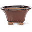 Square brown bonsai pot by Seto - 90 x 90 x 45 mm