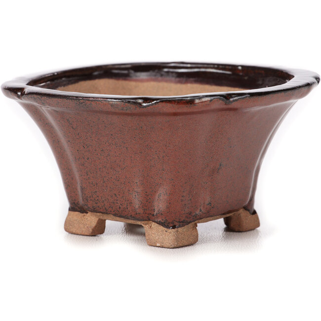 Pot à bonsaï carré marron par Seto - 90 x 90 x 45 mm