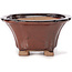 Square brown bonsai pot by Seto - 90 x 90 x 45 mm