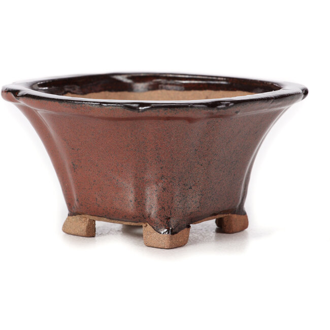 Pot à bonsaï carré marron par Seto - 90 x 90 x 45 mm