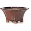 Square brown bonsai pot by Seto - 90 x 90 x 45 mm