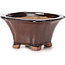 Square brown bonsai pot by Seto - 90 x 90 x 45 mm