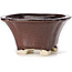 Pot à bonsaï carré marron par Seto - 90 x 90 x 50 mm