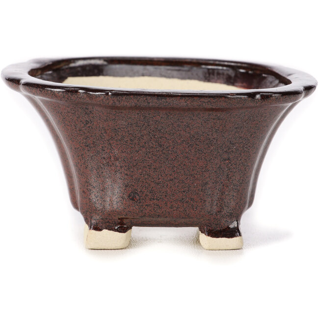 Pot à bonsaï carré marron par Seto - 90 x 90 x 50 mm