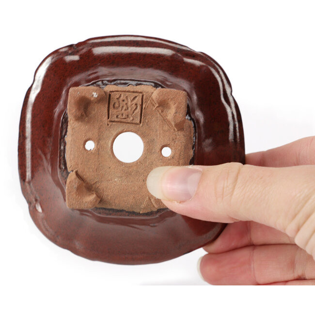 Pot à bonsaï carré marron par Seto - 90 x 90 x 45 mm